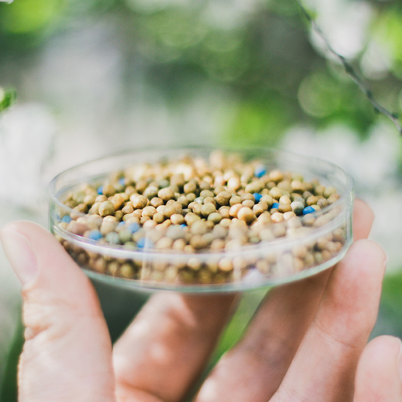 奥绿318s长效缓释肥通用型花肥多肉颗粒肥月季花卉肥绣球控释肥料