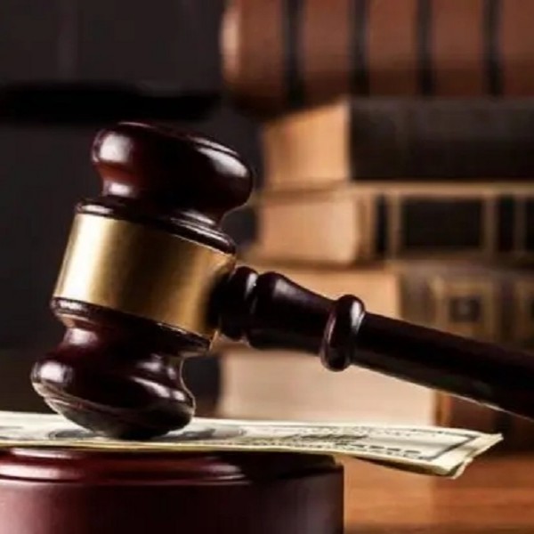 （七韵 ）【一物一拍】精品盆景花卉绿植拍拍专用【通用 】