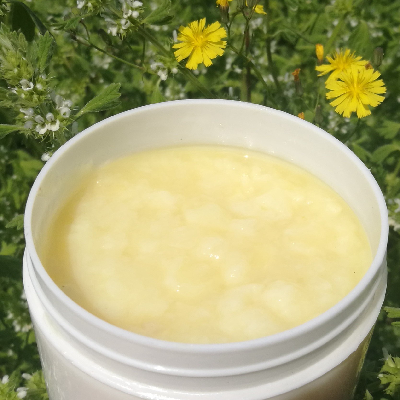 【乌鸦推荐】沂蒙山 现取 蜂王浆  皇浆250克 XY