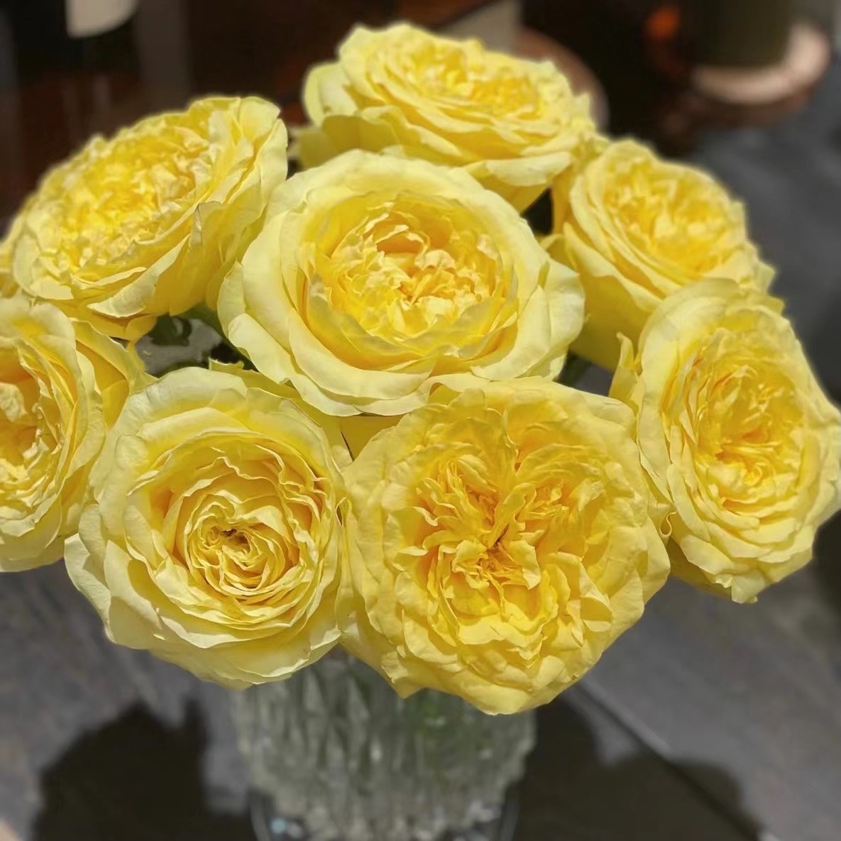 奇迹女神单头玫瑰奥斯丁花型水培鲜花