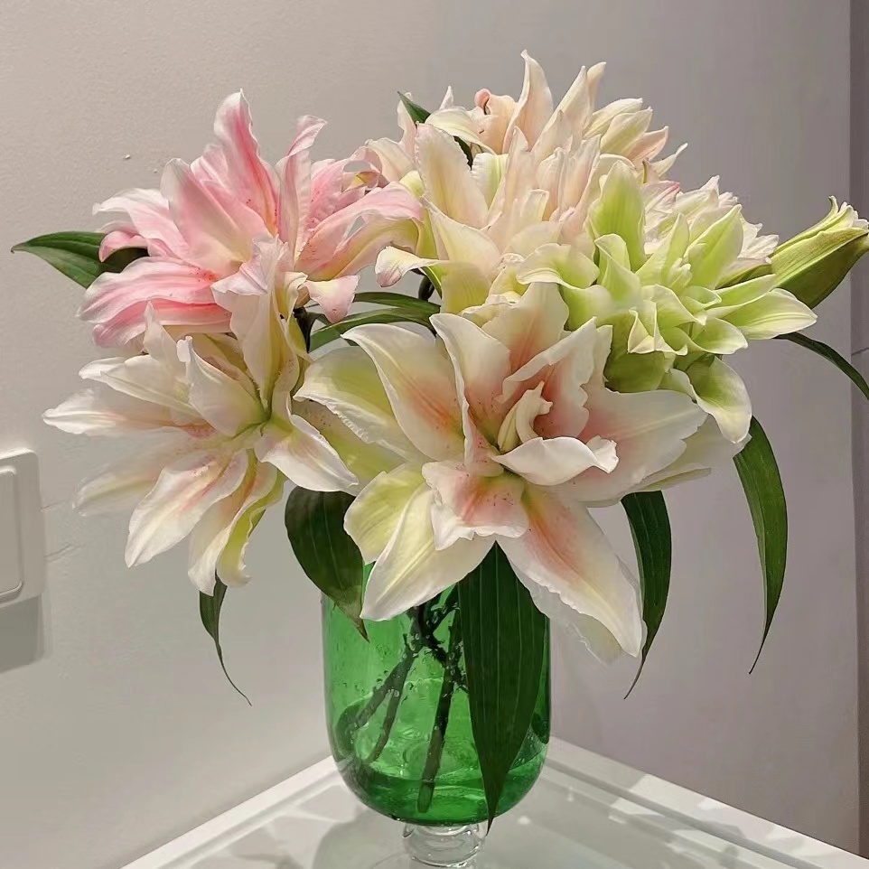 萨拉重瓣百合水养鲜花多色系有香味