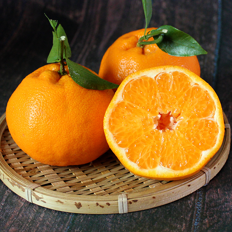 中通快递 四川绵阳春见耙耙柑 粑粑柑橘桔子当季新鲜水果5/8斤