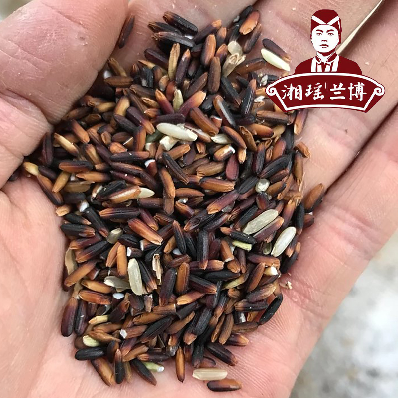 [新品]湘瑶兰博农家黑米5斤包邮 糙米 五彩米营养不抛光大米湖南