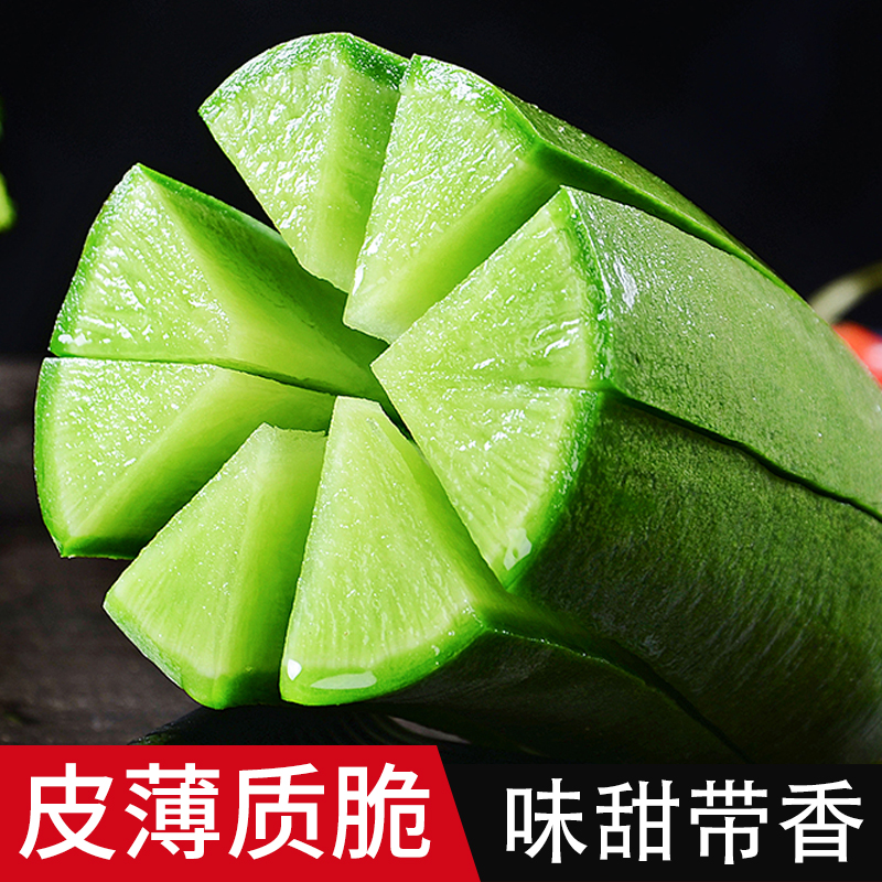 【出口品质】正宗潍坊水果萝卜脆甜现拔沙窝萝卜新鲜生吃青皮萝卜