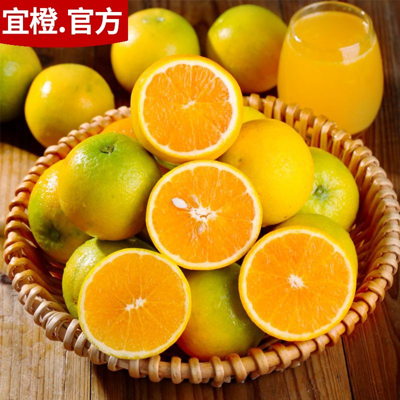 宜橙榨汁橙/夏橙绿橙子奥林达5斤9斤偏酸甜多汁秭归现摘新鲜水果Z