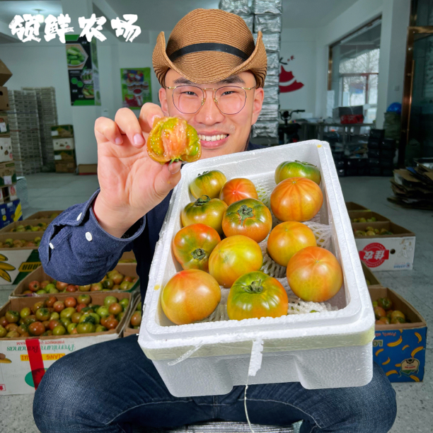 【顺丰包邮】丹东盐碱地铁皮柿子绿腚草莓柿子 孕妇水果番茄3/5斤