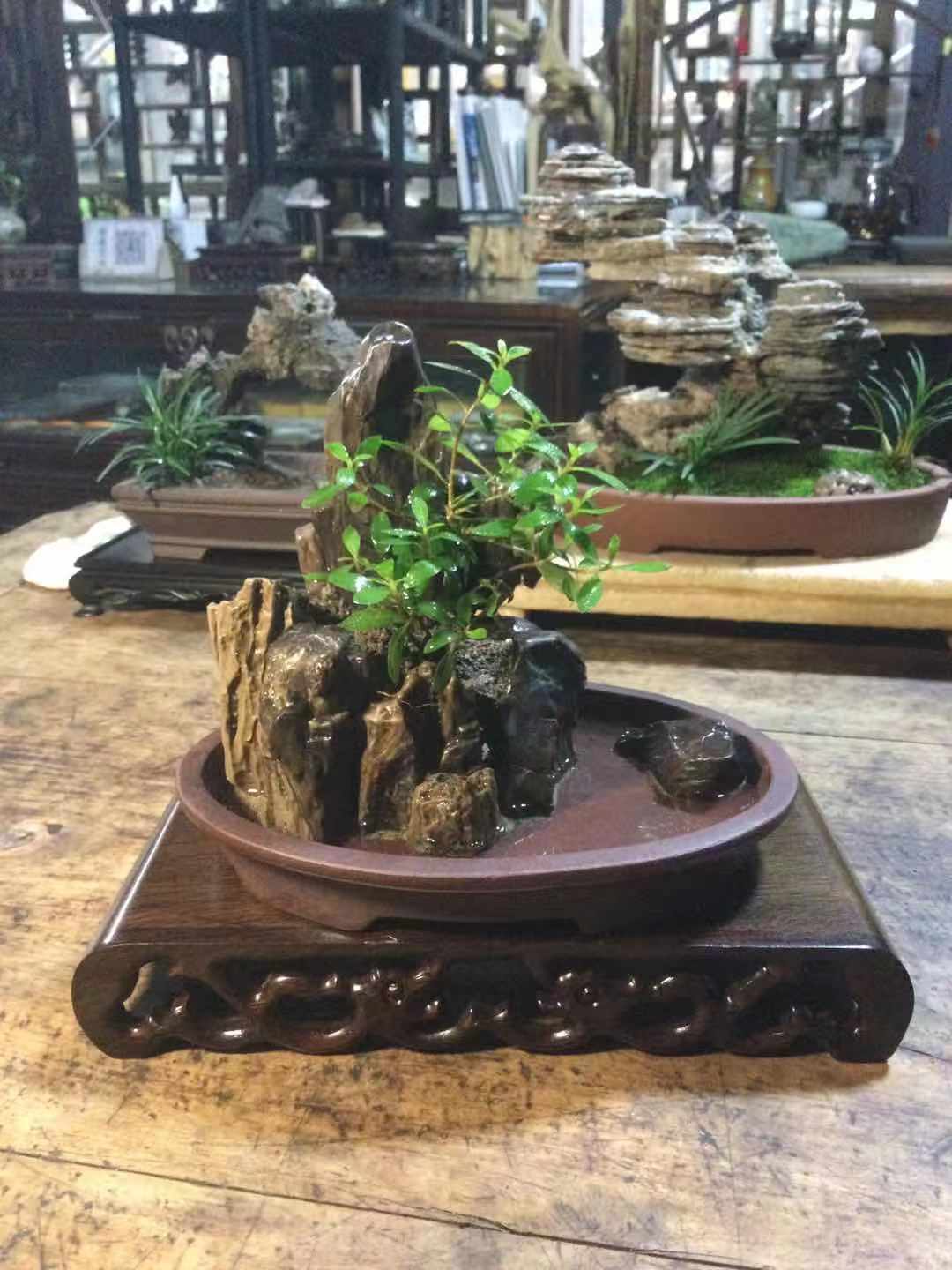 【付米链接】阿拉善玉儿奇石馆