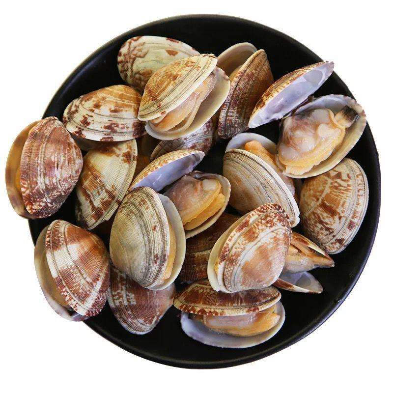 鲜活特大花甲2斤/份 满2百包邮 合肥市区当日达其余次日达