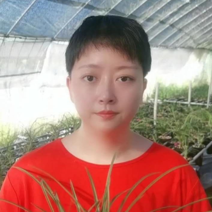 精品春兰  蕙兰苗 一物一拍 备注品种