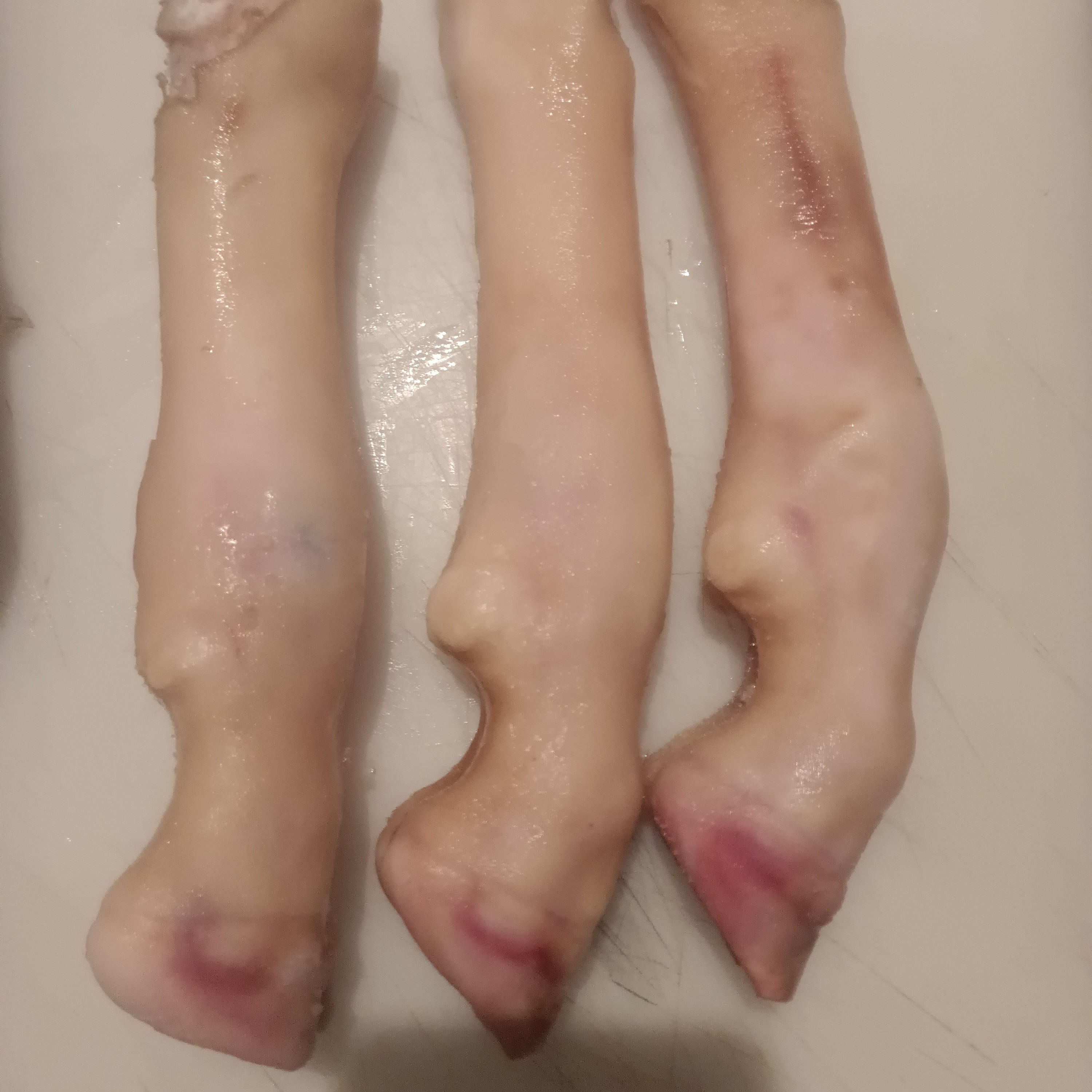  羊蹄   6斤起拍