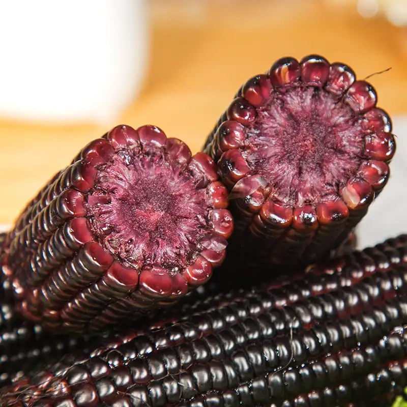 逅甜小黑糯玉米10支/200克整箱4斤香甜软糯真空包装早餐代餐粗粮