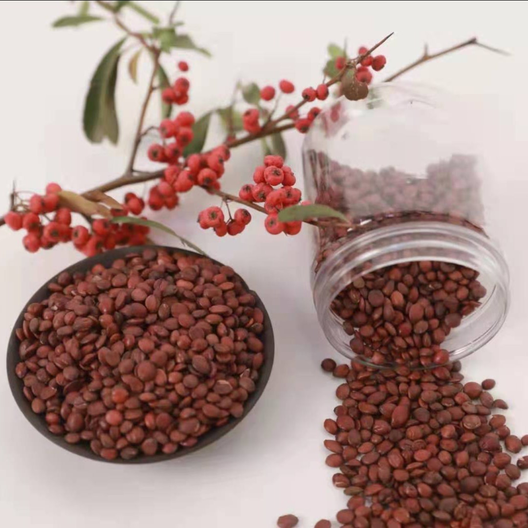 【庄主直播福利】特级酸枣仁 邢台地道特产酸枣仁保真保纯250克