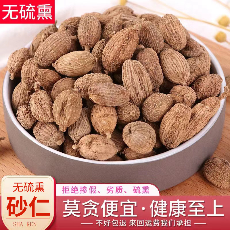 广东沙仁香沙仁 春沙仁毛沙仁 烧菜卤肉火锅香料煲汤蒸肉调料