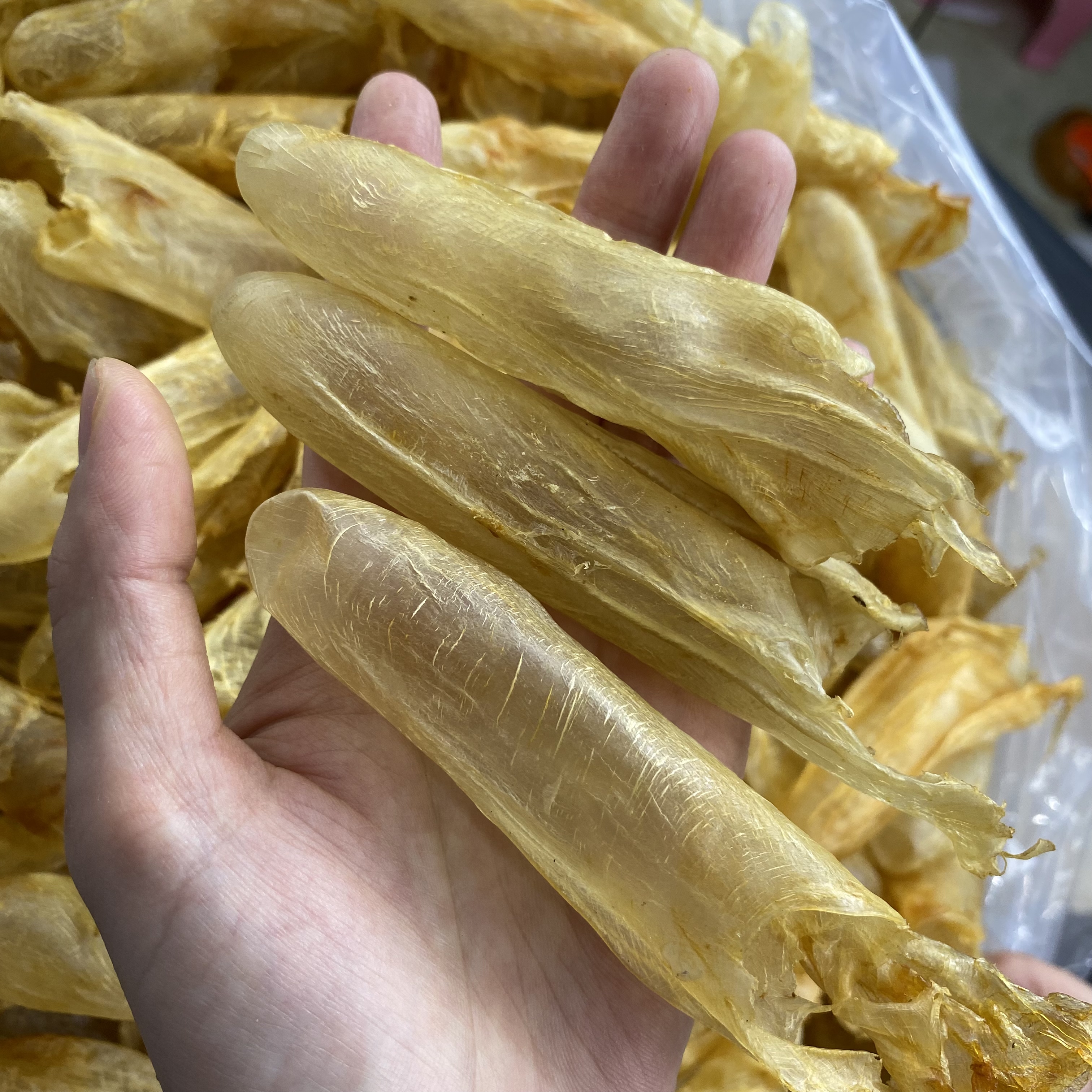 【咸水黄花胶】100头深海咸水黄花筒 鱼肚花胶 250g-500g