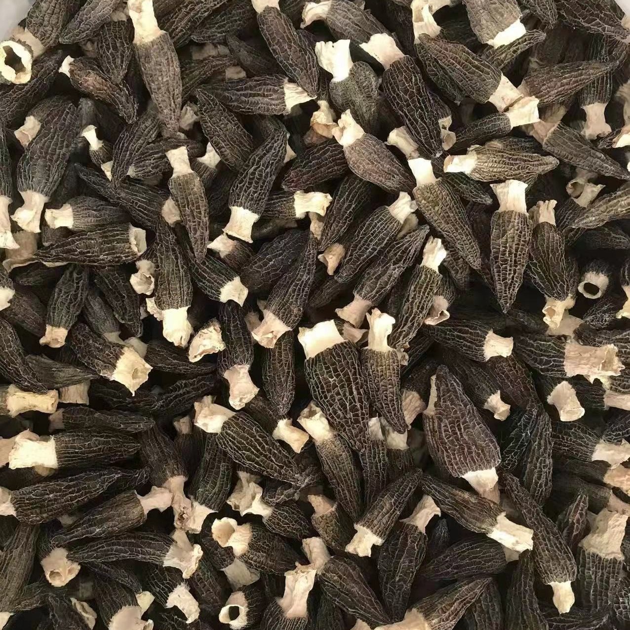 珠海羊肚菌 菌 100g 