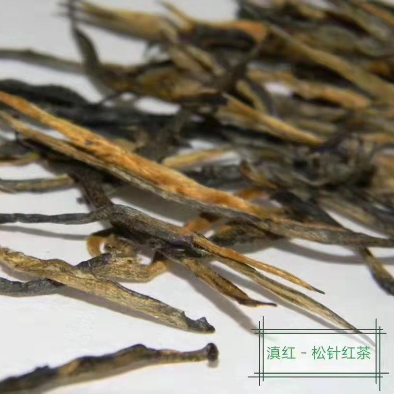 凤庆滇红 老树松针 滇红工夫 100g 2023年春料 云南红茶
