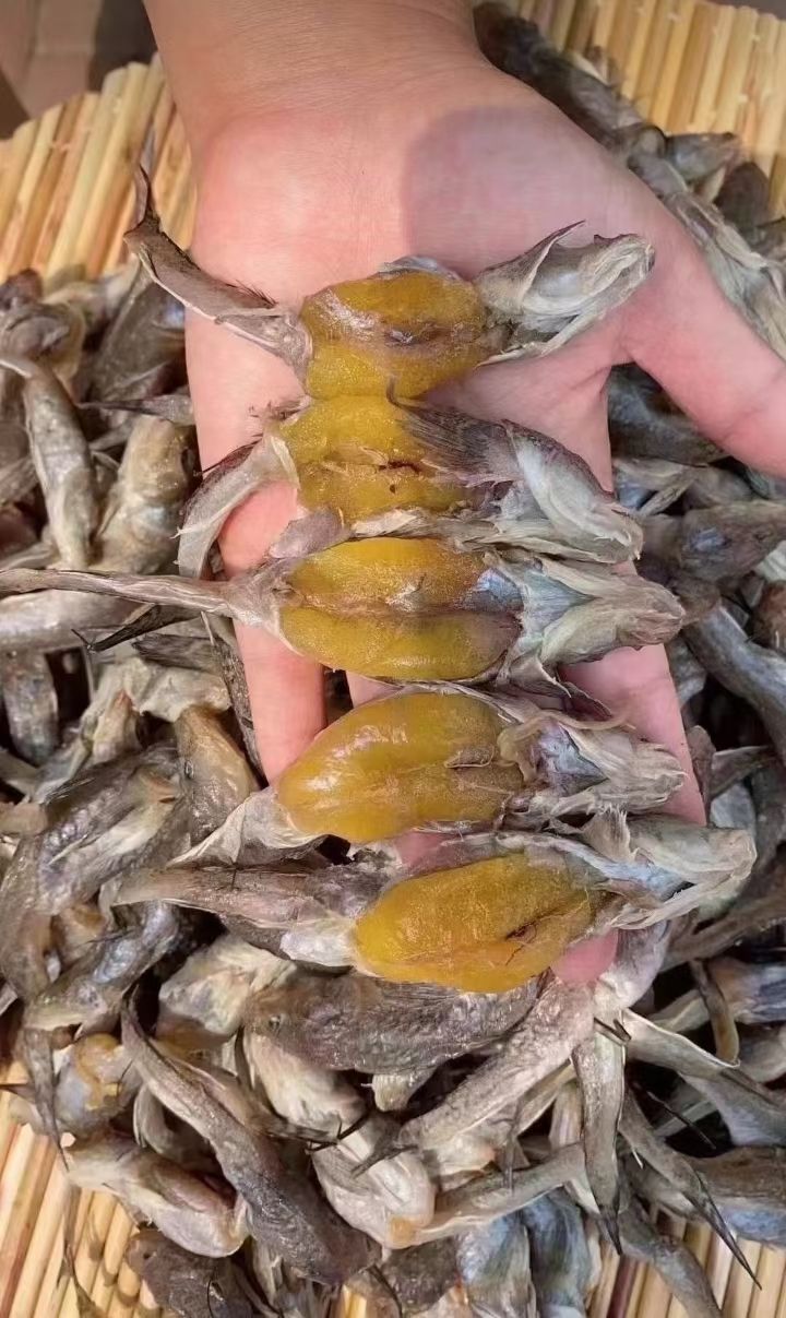 渤海湾油光鱼山东发货