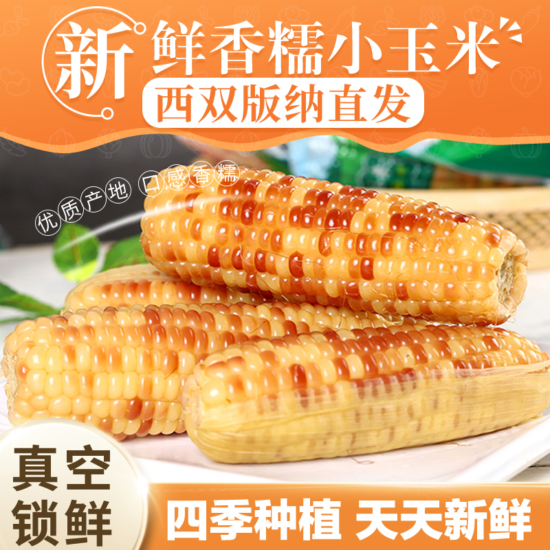 【雨林农夫】西双版纳糯玉米小玉米新鲜真空包装玉米直播拇指玉米商品图