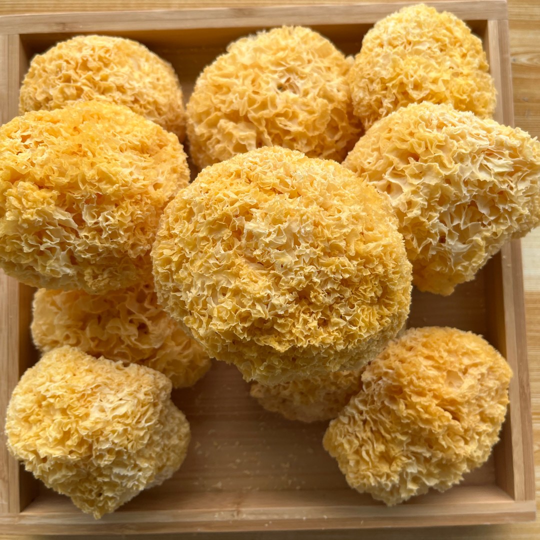 银耳 古田糯耳 丑耳