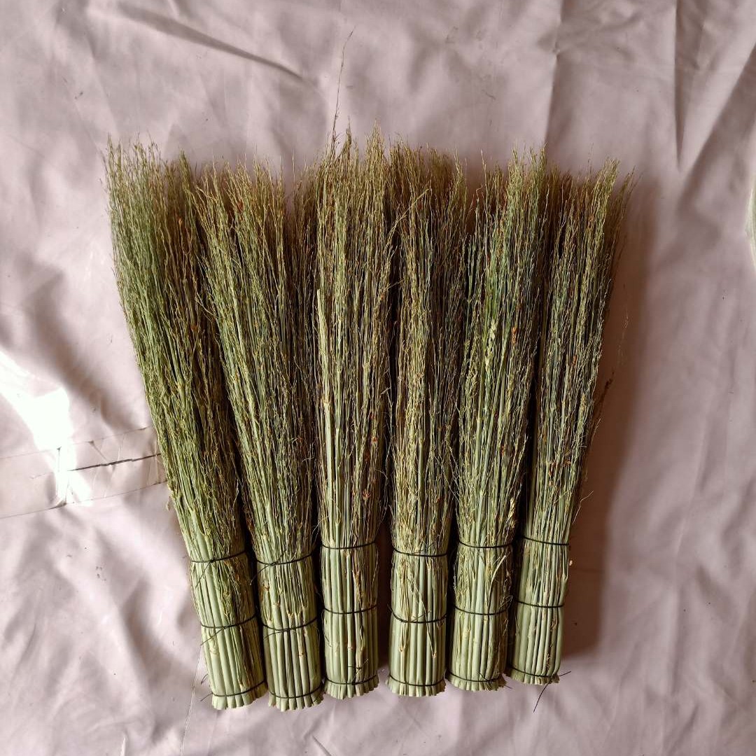 绿高粱苗锅刷洗碗炊怵