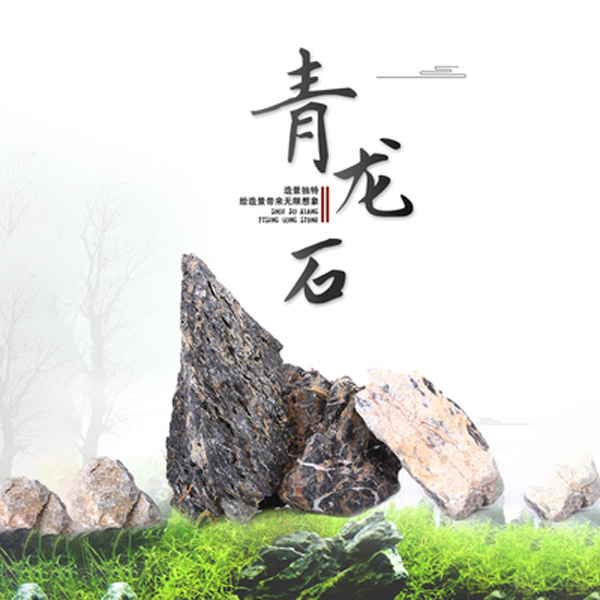 青龙石 造景石水草缸造景微景观水陆鱼缸石景假山石头布景装饰
