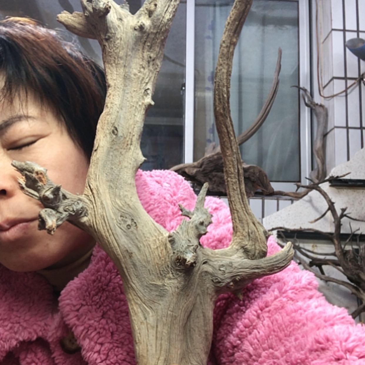 【闪购商品】木质根雕永*