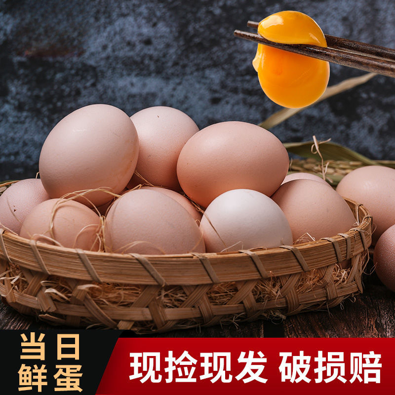 4枚农家正宗土鸡蛋散养农村笨鸡蛋新鲜营养柴鸡蛋整箱批发包邮