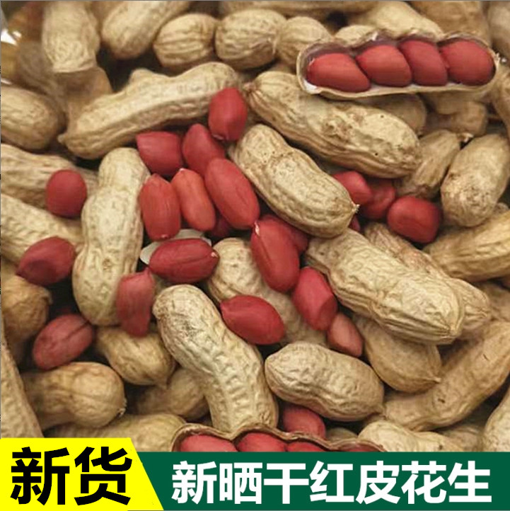 25年新鲜红皮带壳生花生5斤晒干红衣花生四粒红小花生粉皮100g多