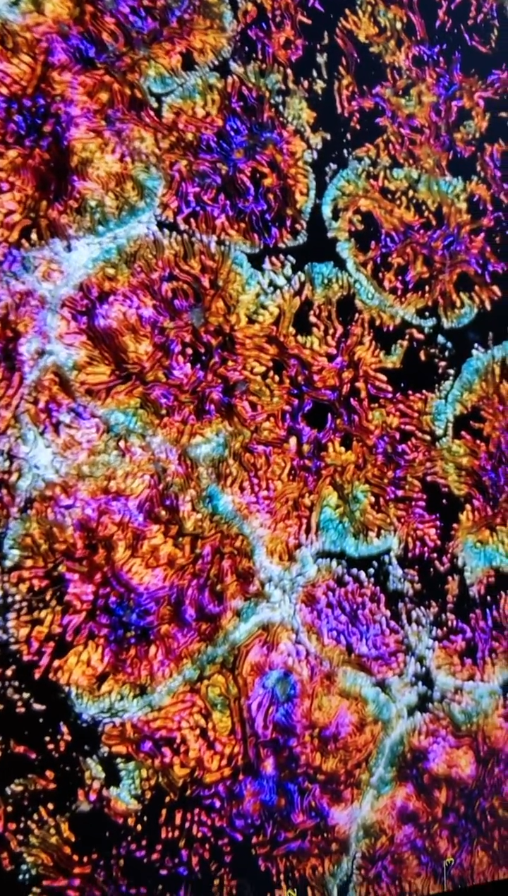 【闪购商品】瓷茶盏童密雄8