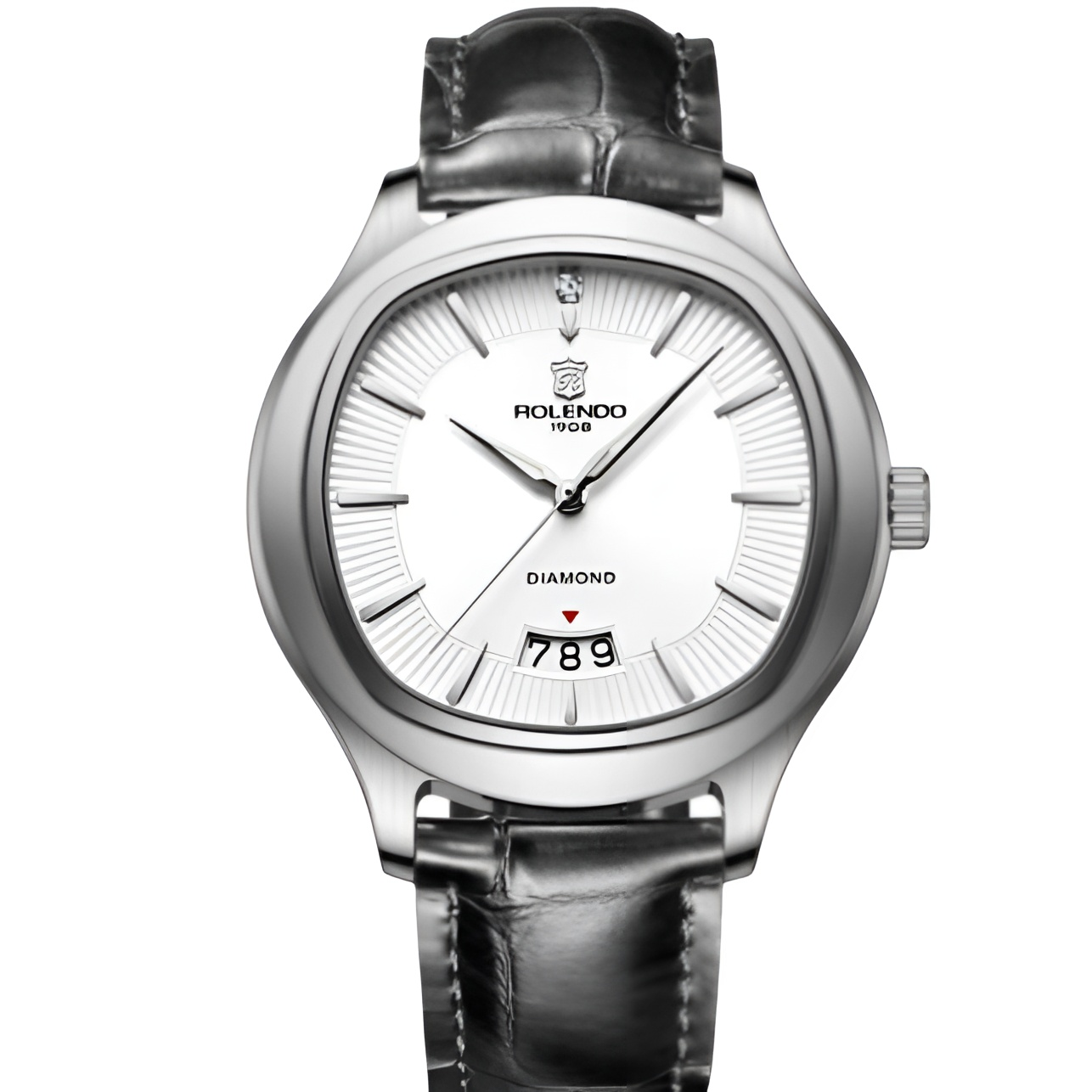 全新未使用 ROLENDO R/罗兰度 正品自动机械男表RG7064银白经典