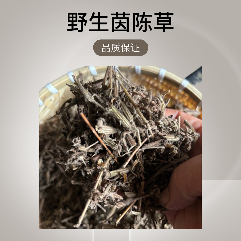 江西野生．茵陈草：土阴陈