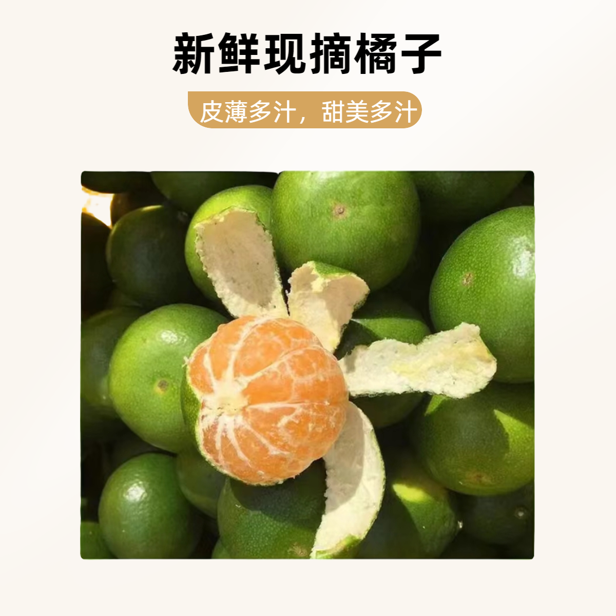 应季新鲜水果成熟皮薄柑橘酸甜采摘多汁榨汁甄选