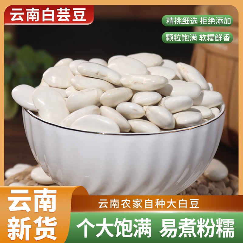  云南新货农家自种白芸豆 大白豆手工精选 颗粒饱满杂粮粗粮豆