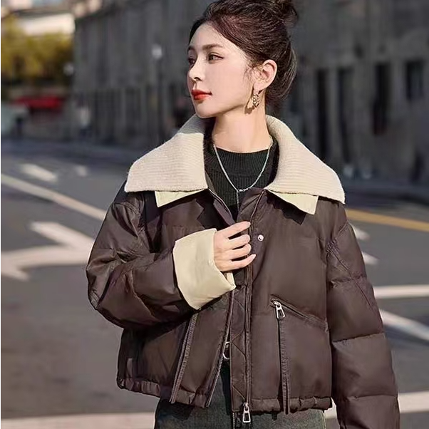 200-299新款加厚保暖秋冬款品质女装女士时尚百搭冬天洋气外套