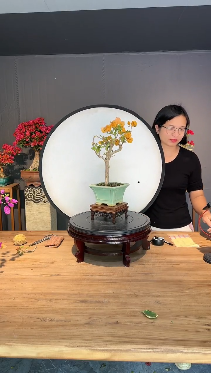 【闪购商品】伊   加州黄