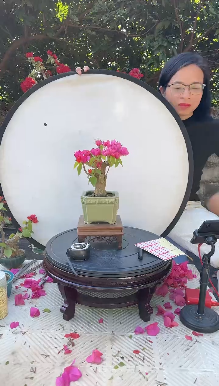 【闪购商品】自律 同安红