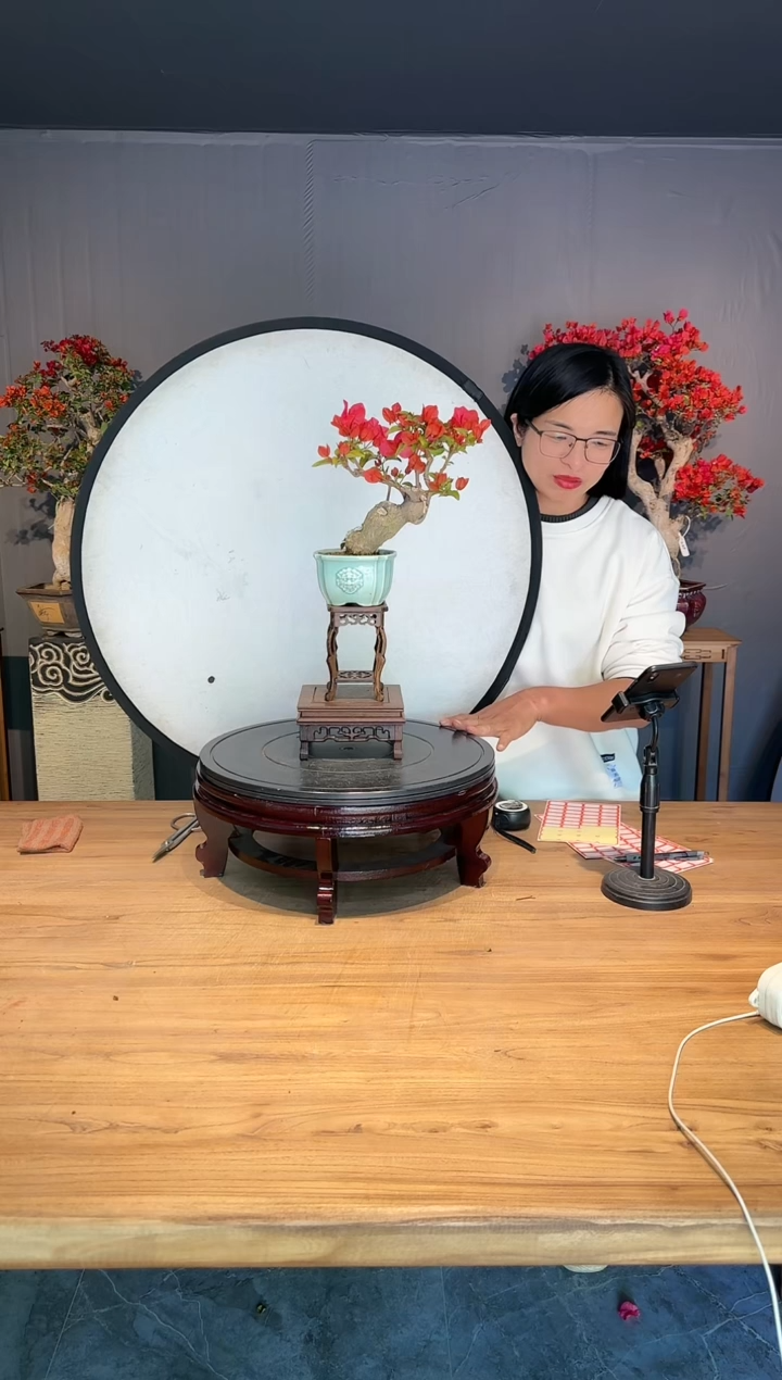【闪购商品】炮炮 同安红