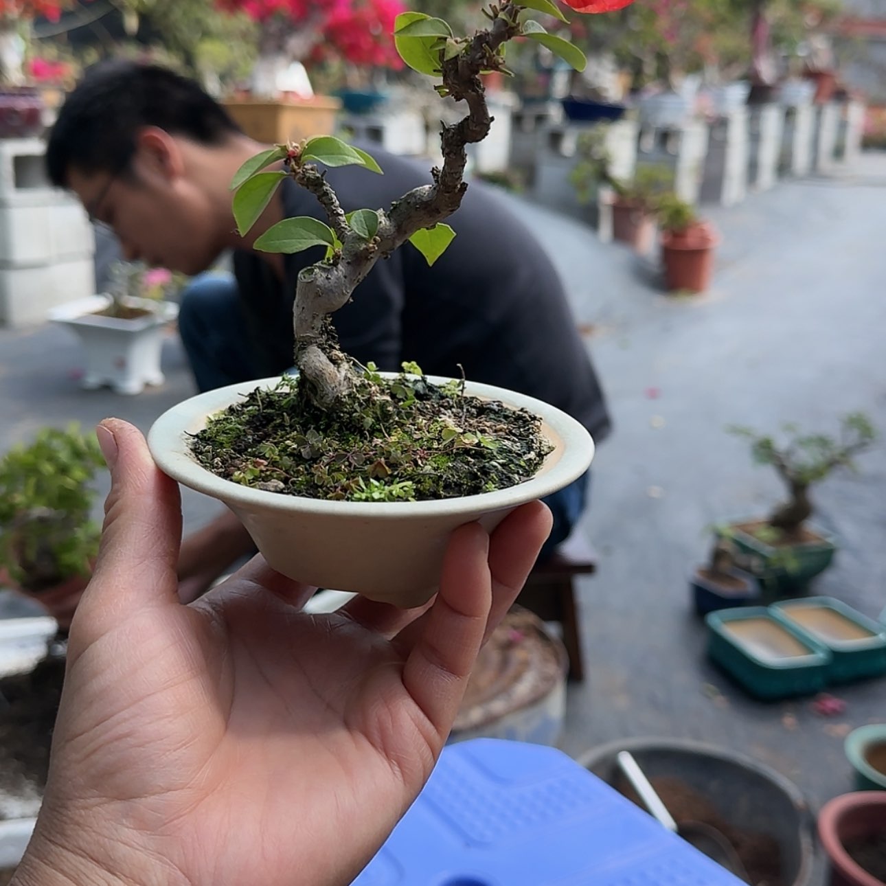 【闪购商品】易*霄