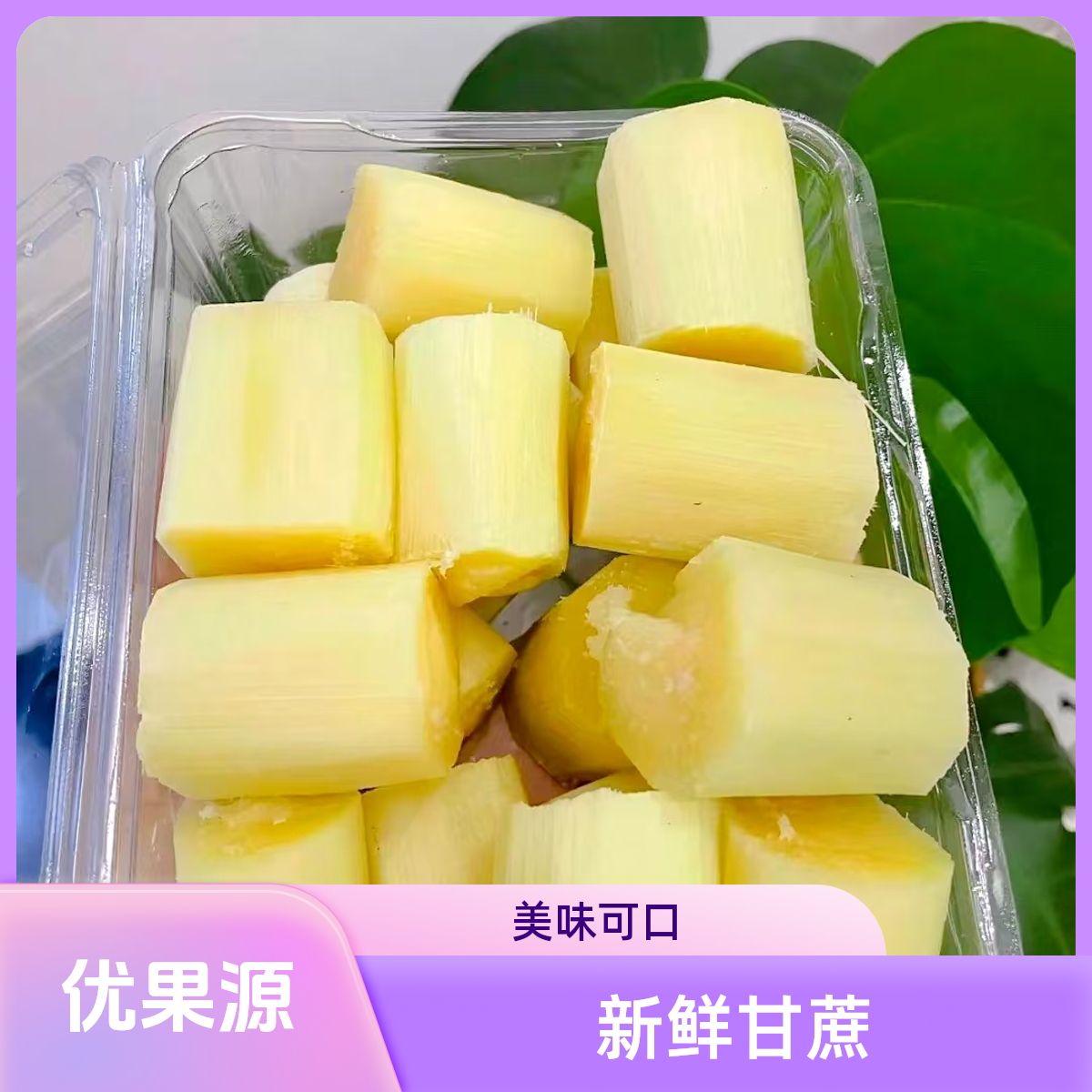 甘蔗（1000g左右）