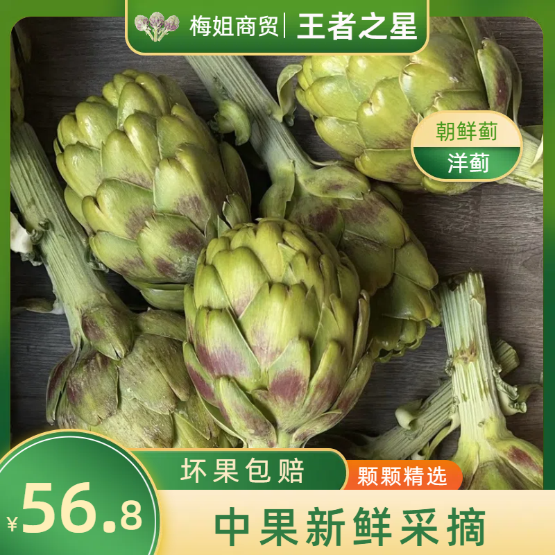 【木子在云南专属王者之星中果】云南新鲜洋蓟朝鲜蓟蔬菜现摘现发