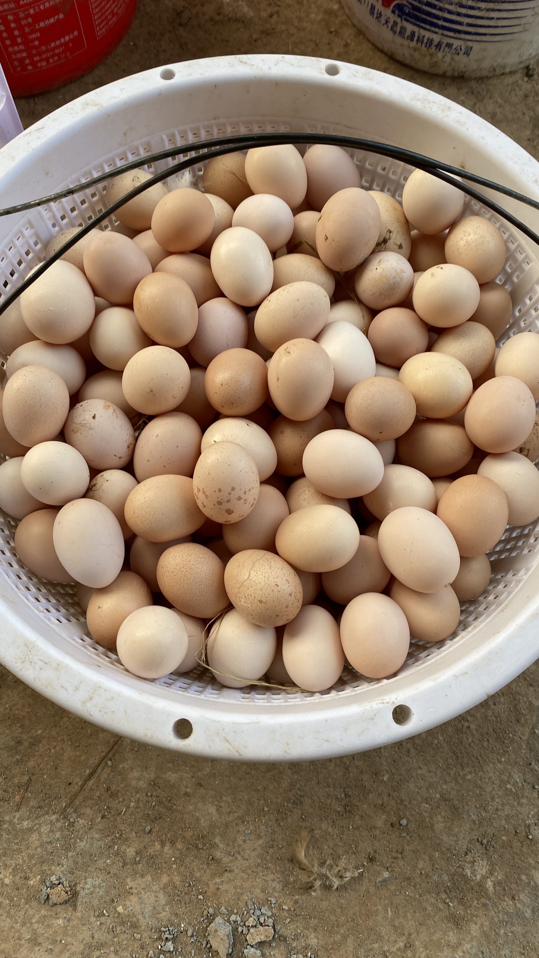 初生蛋（介意小，勿拍）到货破损拍照，破一个赔9毛