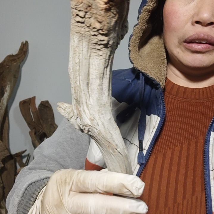 【闪购商品】木根雕孟*楠