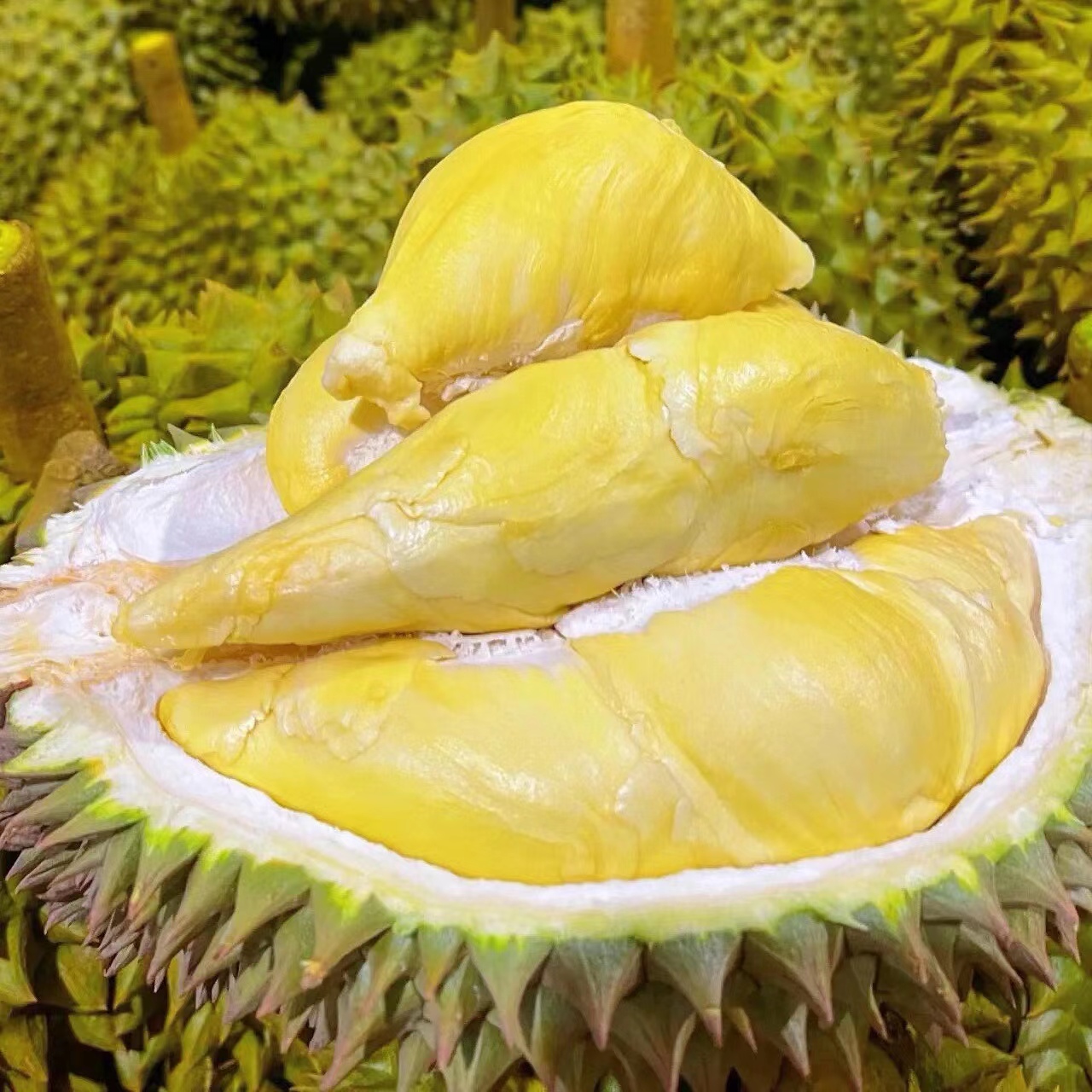 口感差！！！瑕疵榴莲，夹生  熟大  味淡 新鲜榴莲，一果一重。核小金枕泰国东部