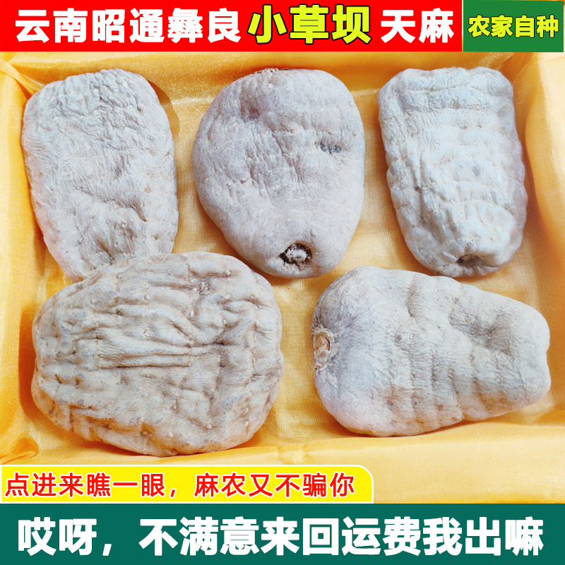 正宗云南昭通彝良小草坝干天麻片粉仿野生干货0.5斤批发顺丰包邮