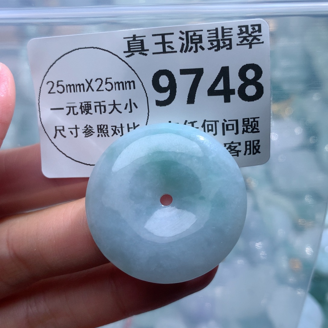 翡翠颈饰未镶嵌9748。