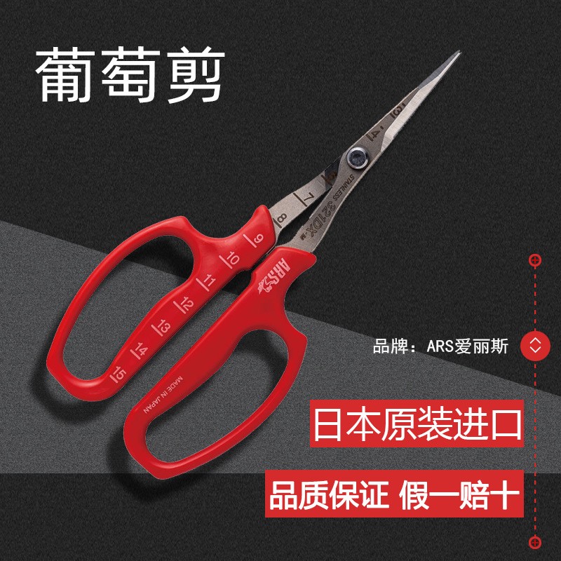 ARS/爱丽斯日本原装进口专业葡萄采摘剪疏果剪阳光玫瑰等果蔬果剪