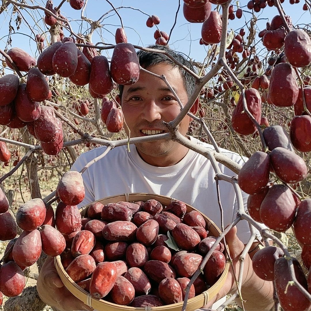 【新疆和田大枣王】原生态不清洗带灰发货 新疆产地直发