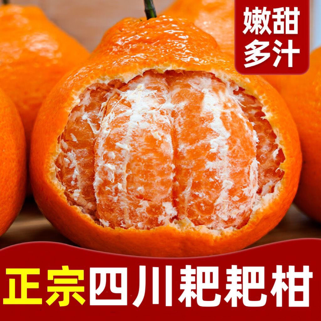 【爷爷家耙耙柑】春见耙耙柑 四川桔子甜当季新鲜孕妇水果
