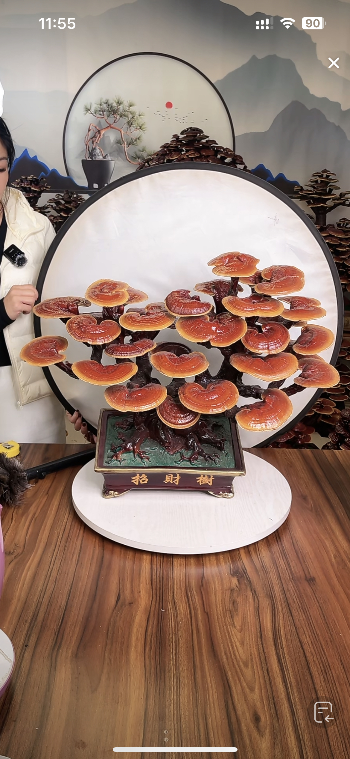 LING  ZHI   招财树，树脂造型盆，