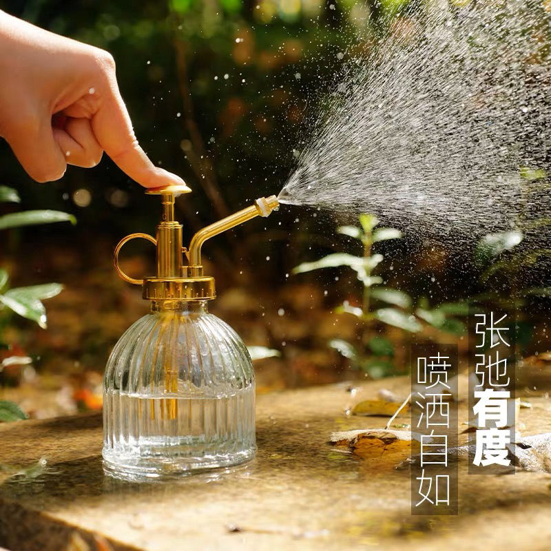 网红复古园艺家用浇花消毒玻璃壶多肉水壶精致小喷壶浇水壶ins风